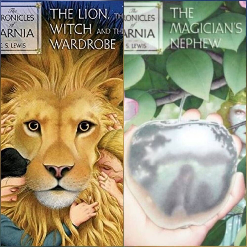 💜The Chronicles of Narnia Set of 2 Paperback Books